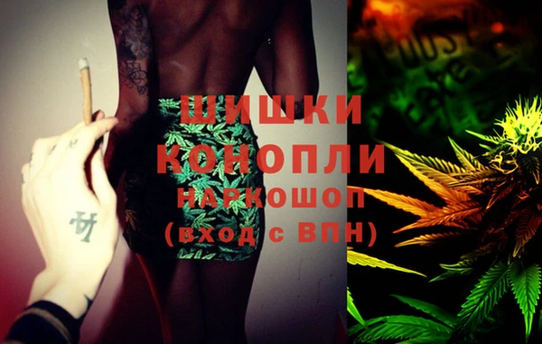ECSTASY Алзамай