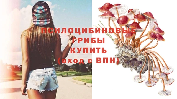 ECSTASY Алзамай