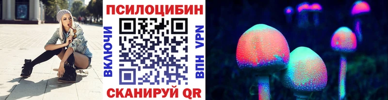 наркошоп  Стародуб  Псилоцибиновые грибы Psilocybe 